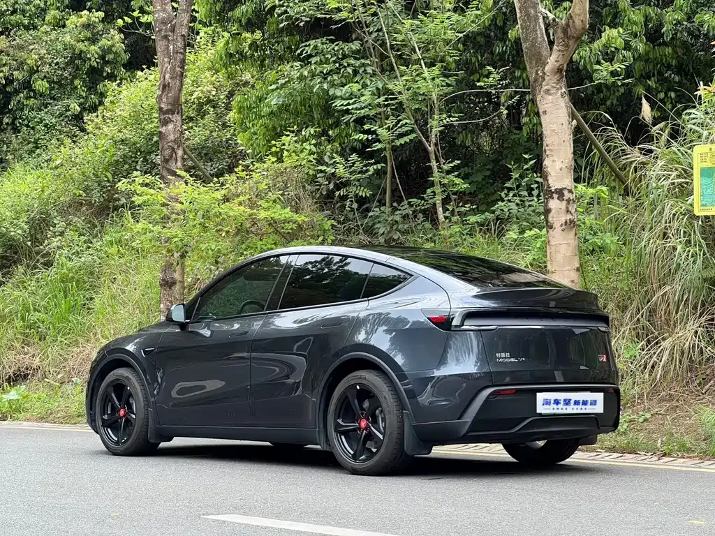 Tesla Model Y — фото 5