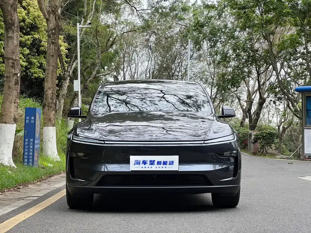 Tesla Model Y — фото 9