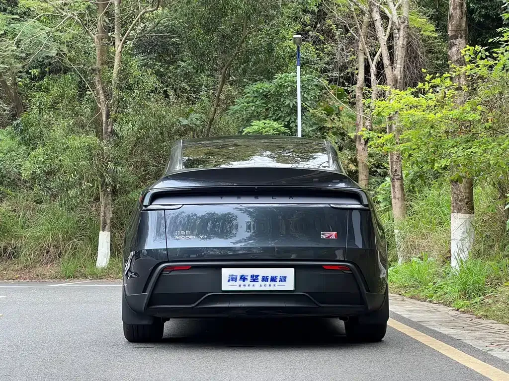 Tesla Model Y — фото 10