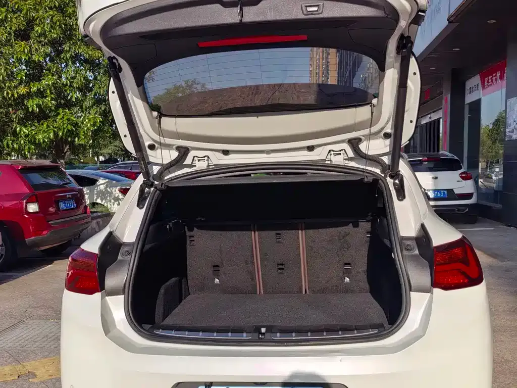 BMW X2 2021 из CN, фото 9