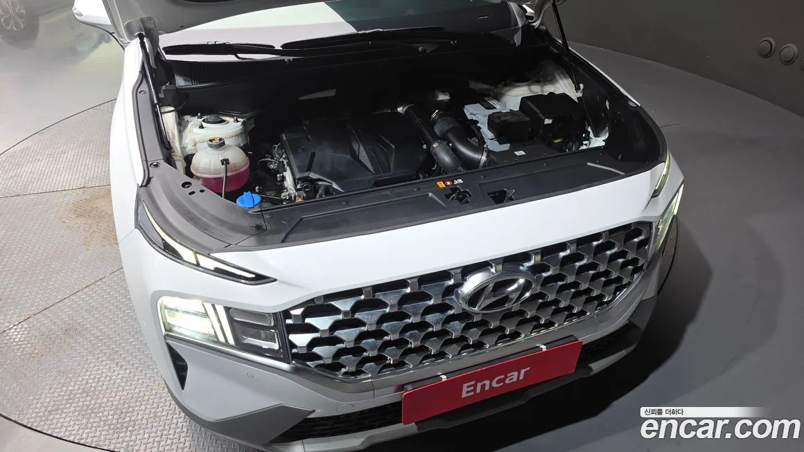 Hyundai Santafe 2021 из KR, фото 10