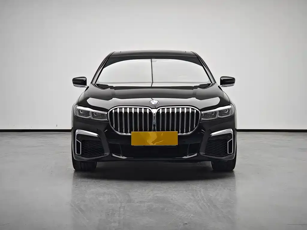BMW 7 Series 2021 из CN, фото 9