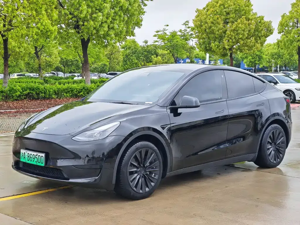 Tesla Model Y — фото 1