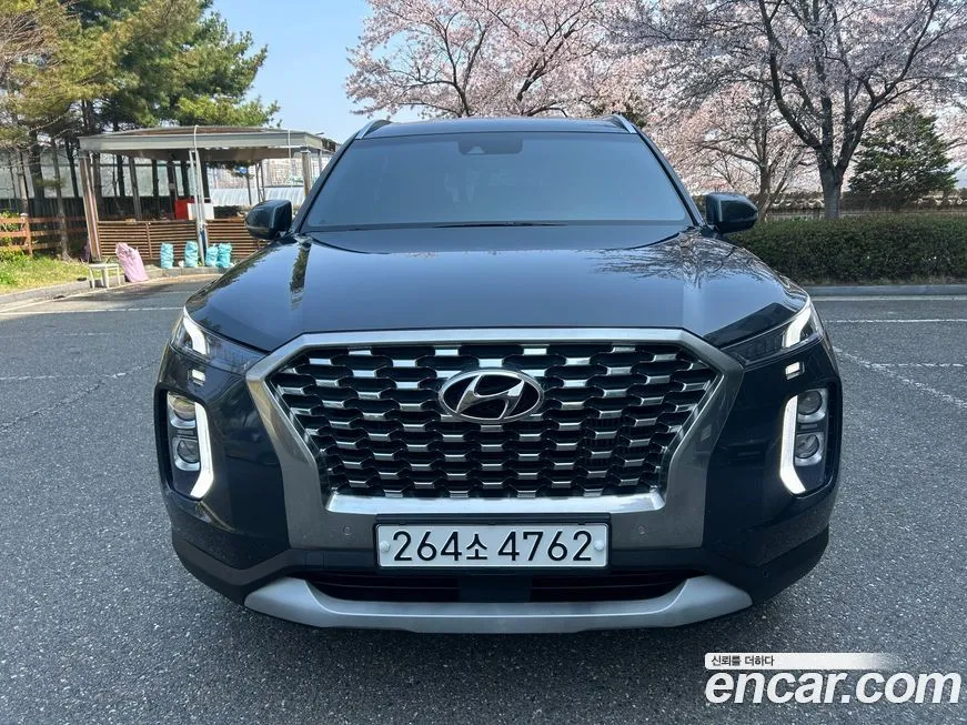 Hyundai Palisade — фото 1