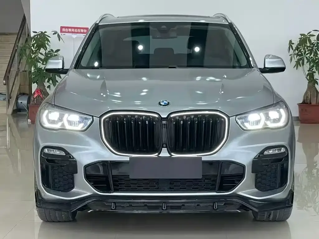 BMW X5 (Import) — фото 6