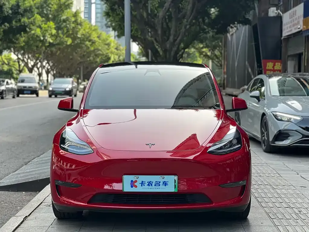 Tesla Model Y — фото 1