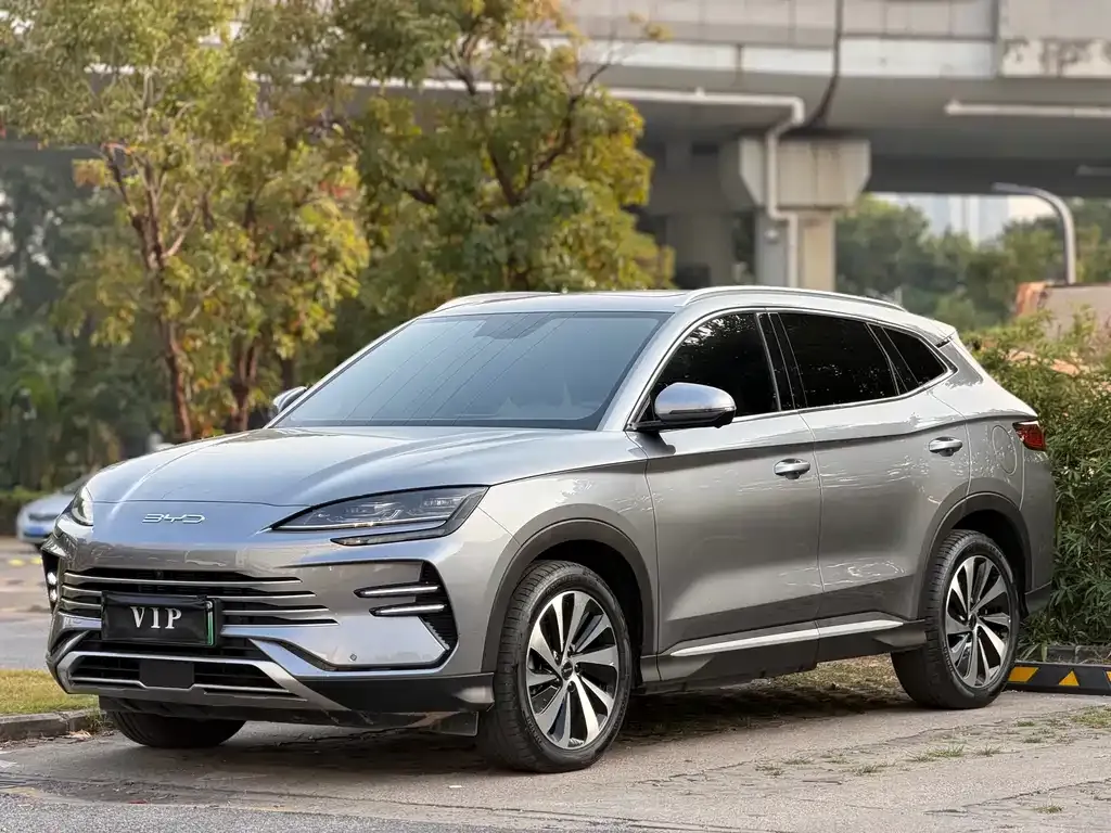 BYD PLUS New Energy — фото 1