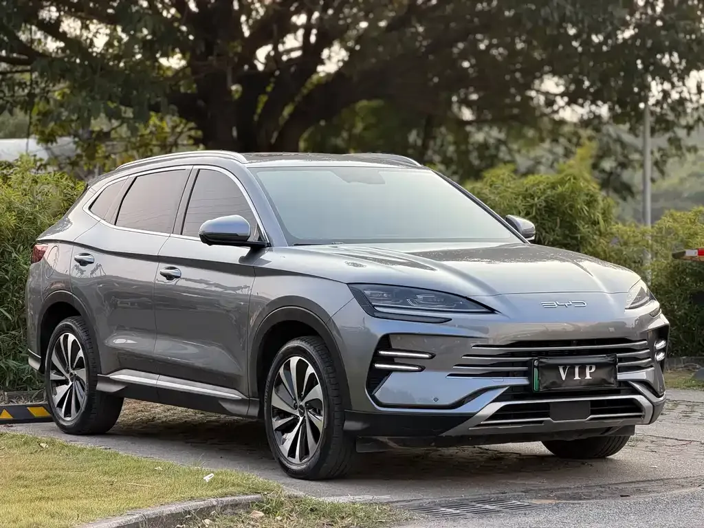 BYD PLUS New Energy — фото 10