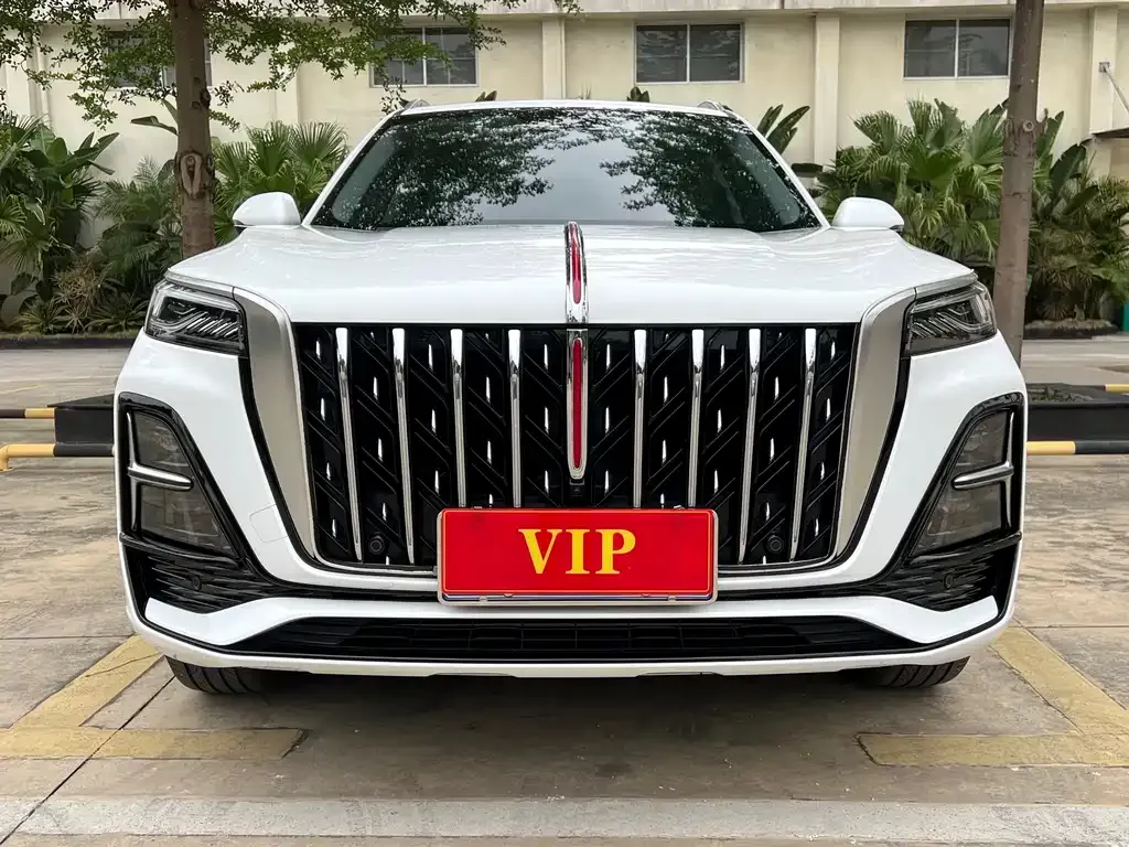 Hongqi HS5 2023 из CN, фото 10