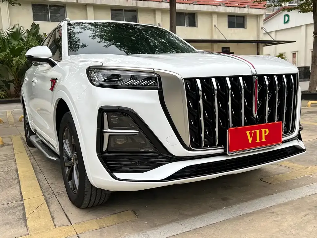 Hongqi HS5 2023 из CN, фото 8