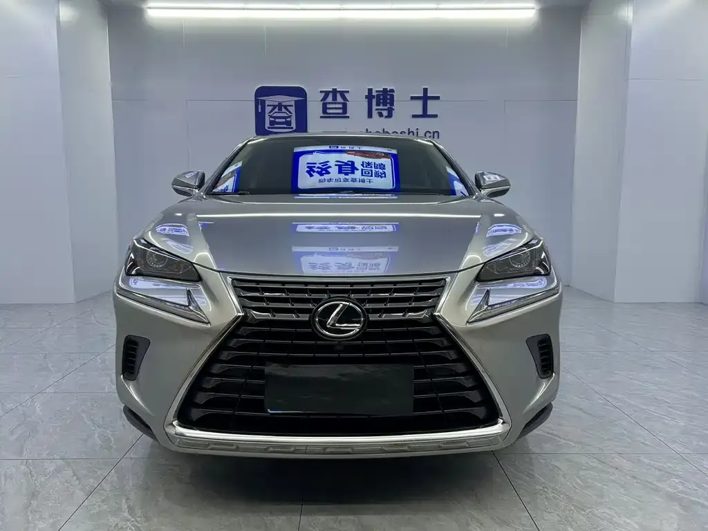 Lexus NX 2021 из CN, фото 4