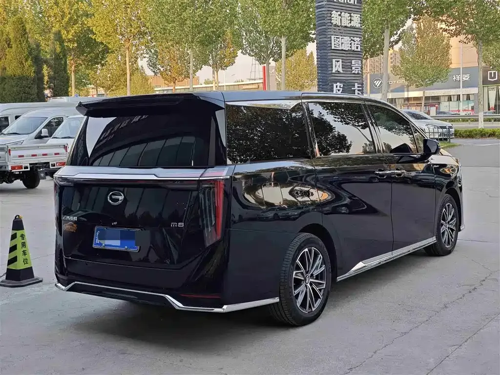 GAC Motor Trumpchi M8 2024 из CN, фото 9