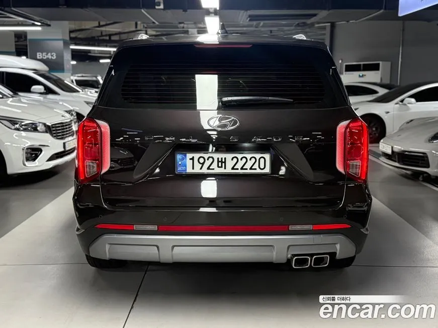 Hyundai Palisade — фото 6