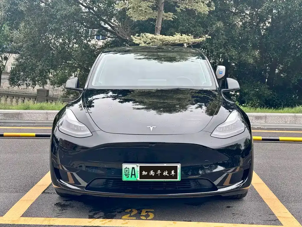 Tesla Model Y — фото 5