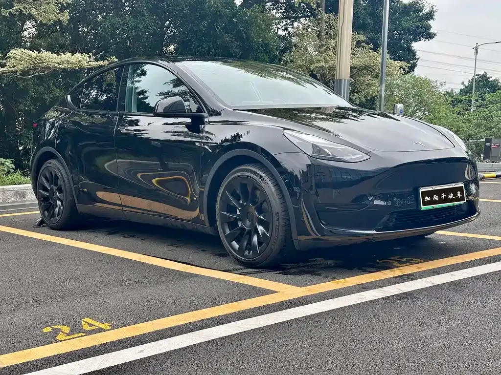 Tesla Model Y — фото 9