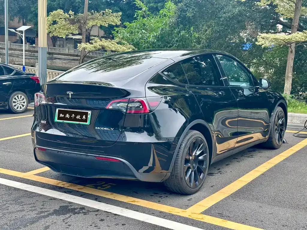 Tesla Model Y — фото 6