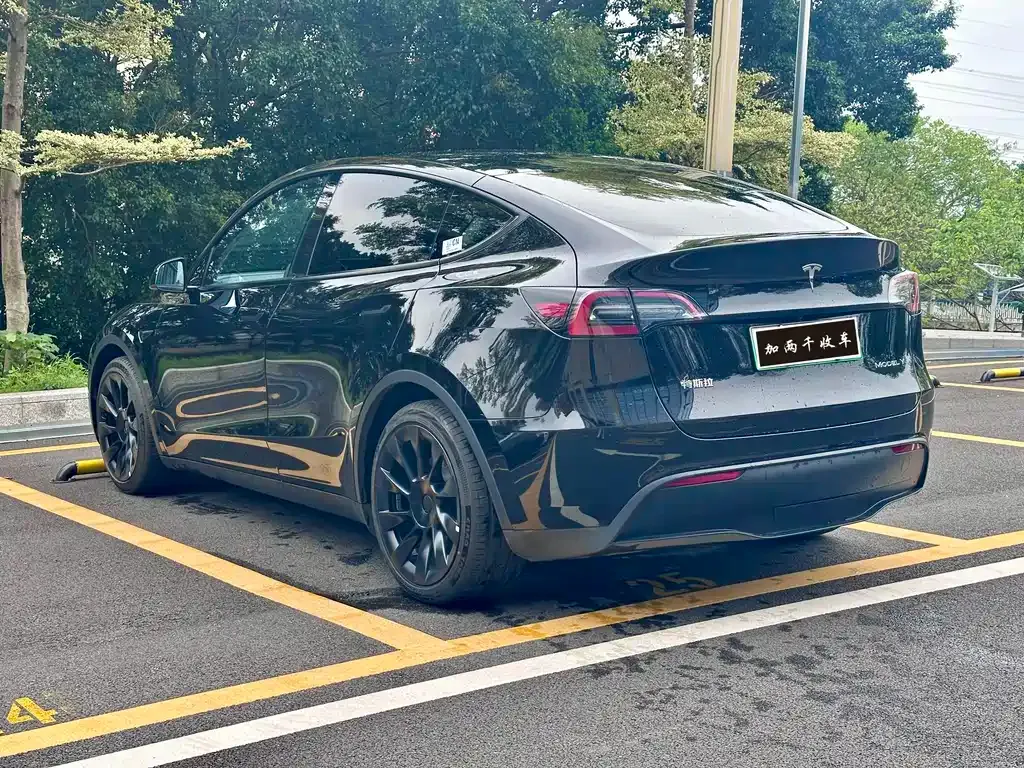 Tesla Model Y — фото 8