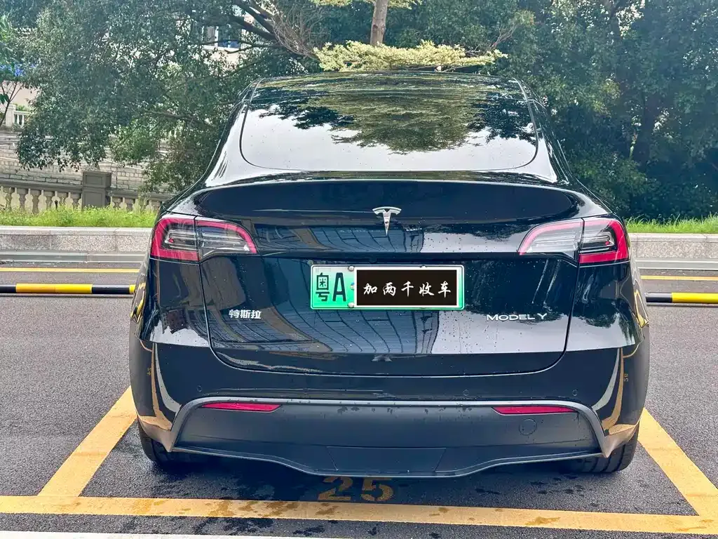 Tesla Model Y — фото 7