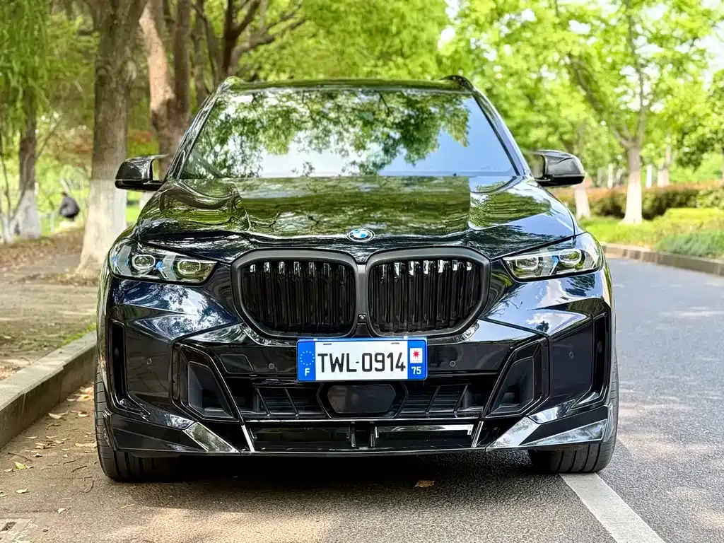 BMW X5 — фото 6