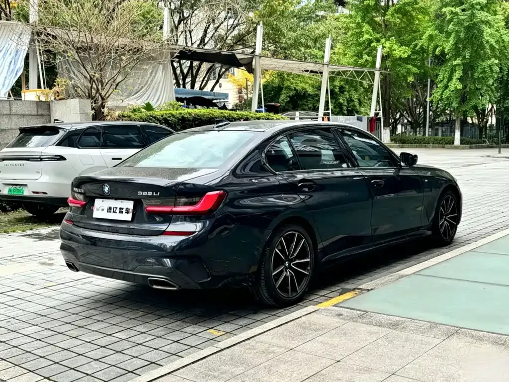 BMW 3 Series 2021 из CN, фото 8