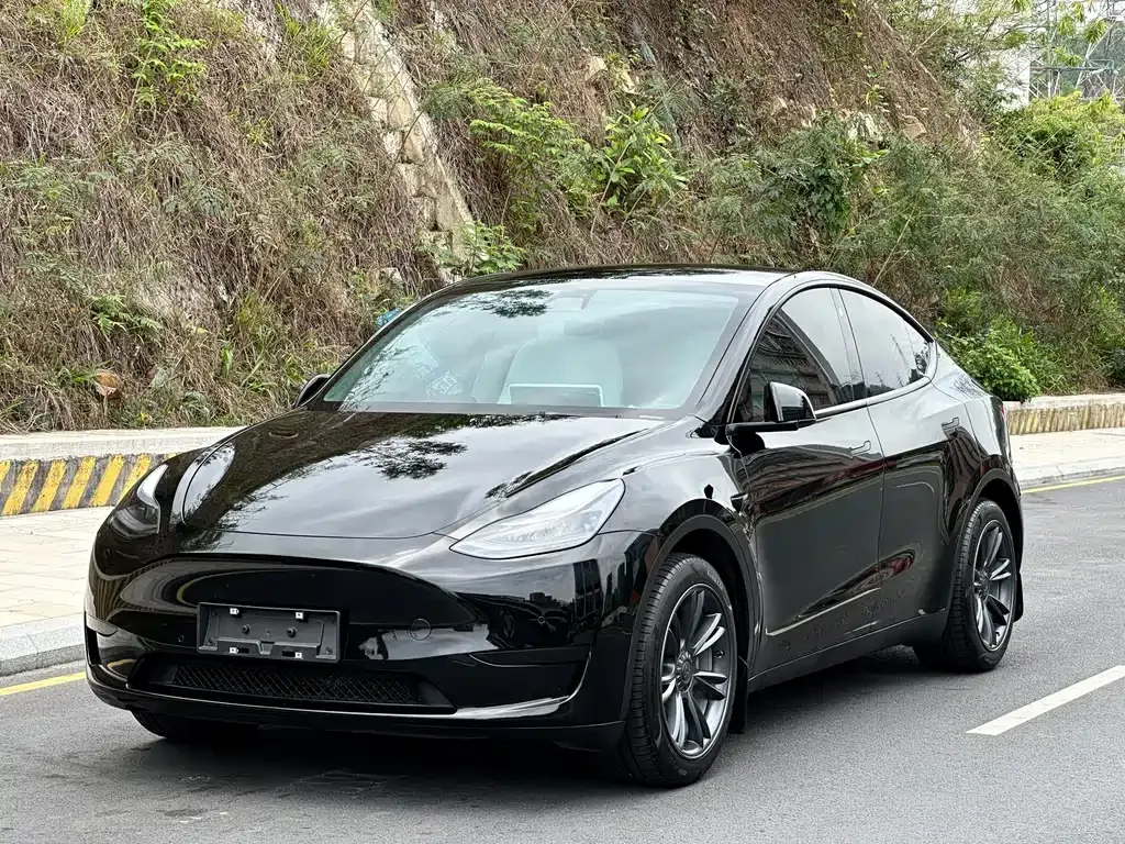 Tesla Model Y — фото 1