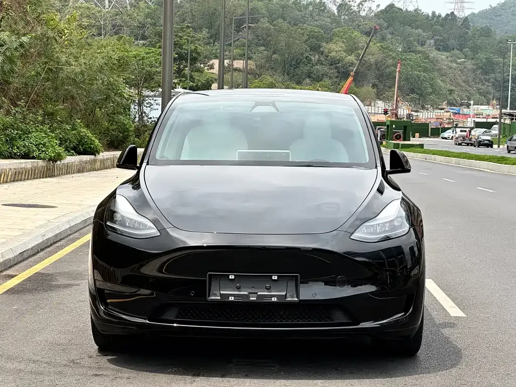 Tesla Model Y — фото 7