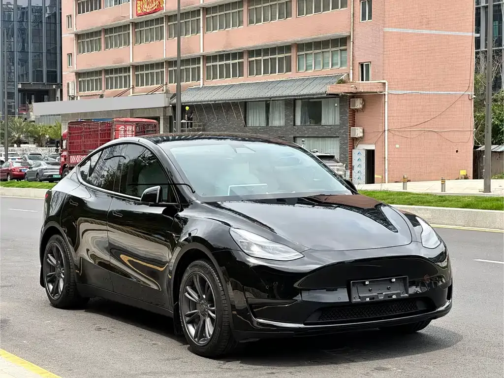 Tesla Model Y — фото 10