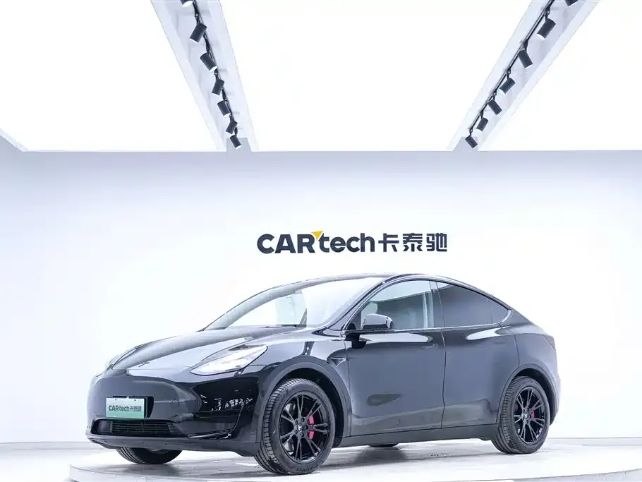 Tesla Model Y — фото 2