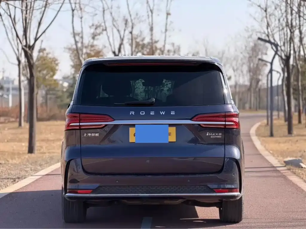Roewe iMAX8 2021 из CN, фото 2