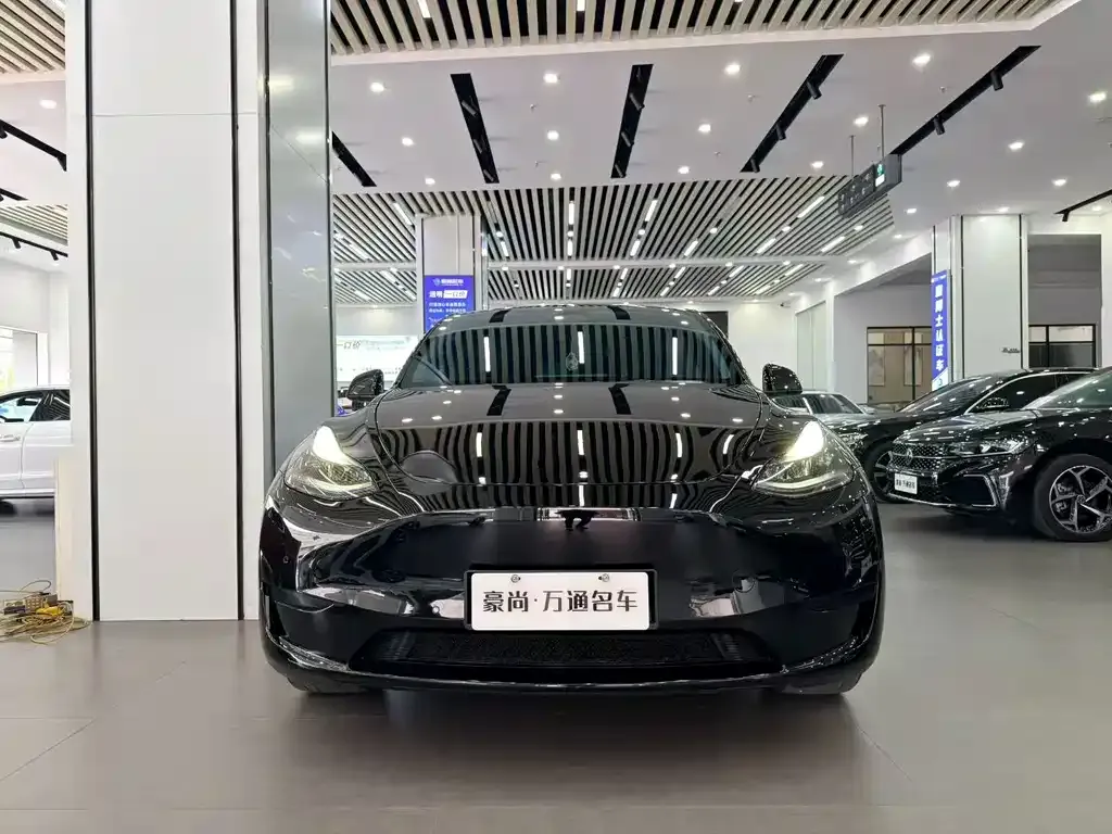 Tesla Model Y — фото 4