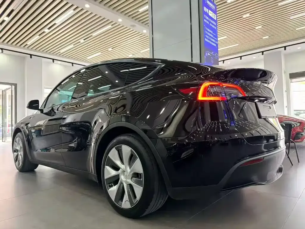 Tesla Model Y — фото 10