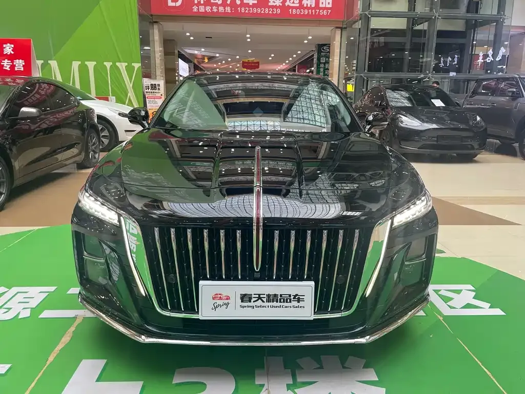Hongqi H5 2023 из CN, фото 10