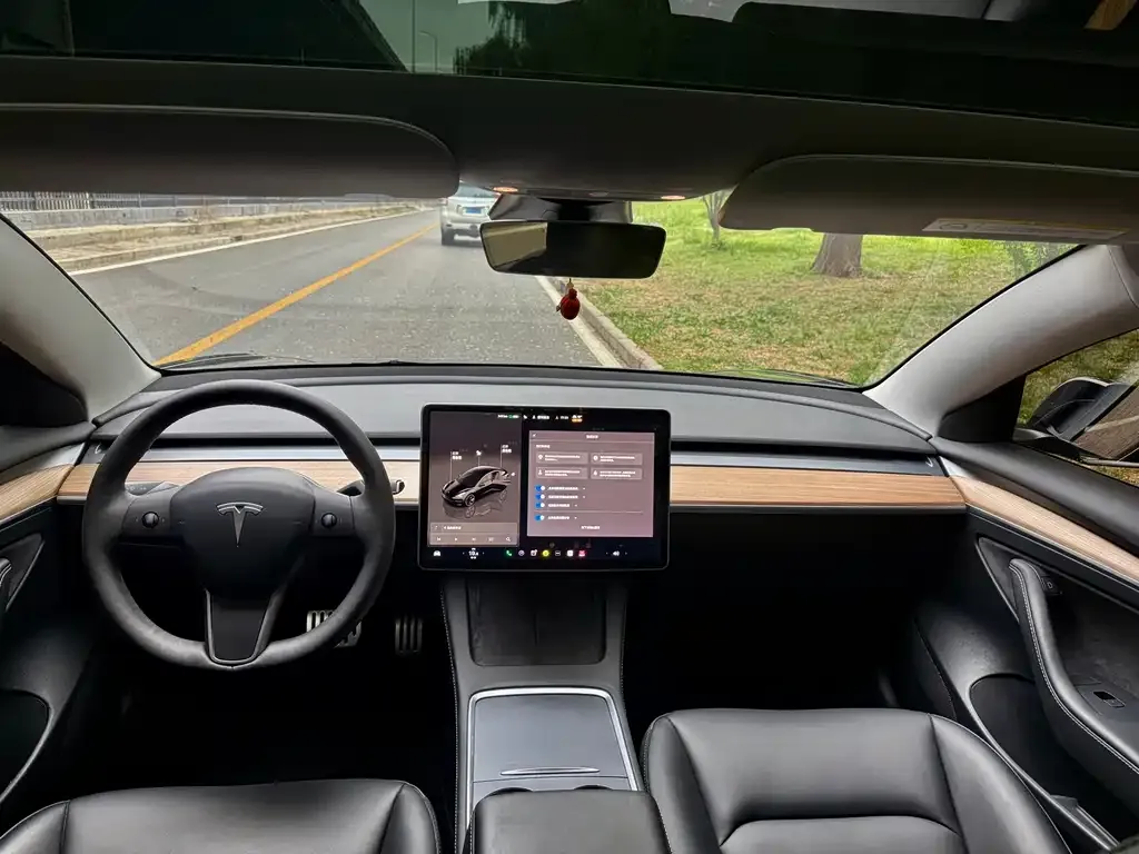 Tesla Model 3 — фото 2
