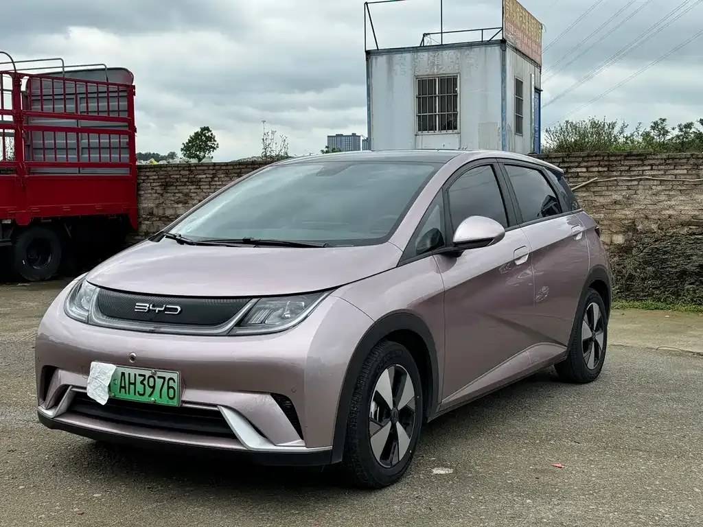 BYD Dolphin 2024 из CN, фото 1