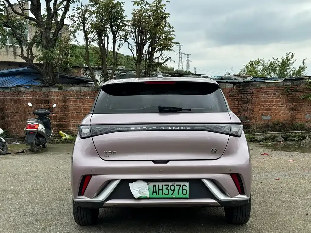 BYD Dolphin 2024 из CN, фото 9