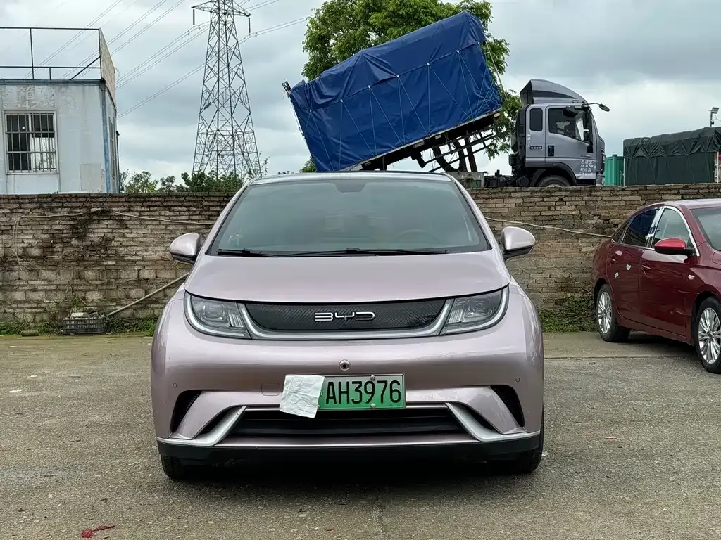BYD Dolphin 2024 из CN, фото 3