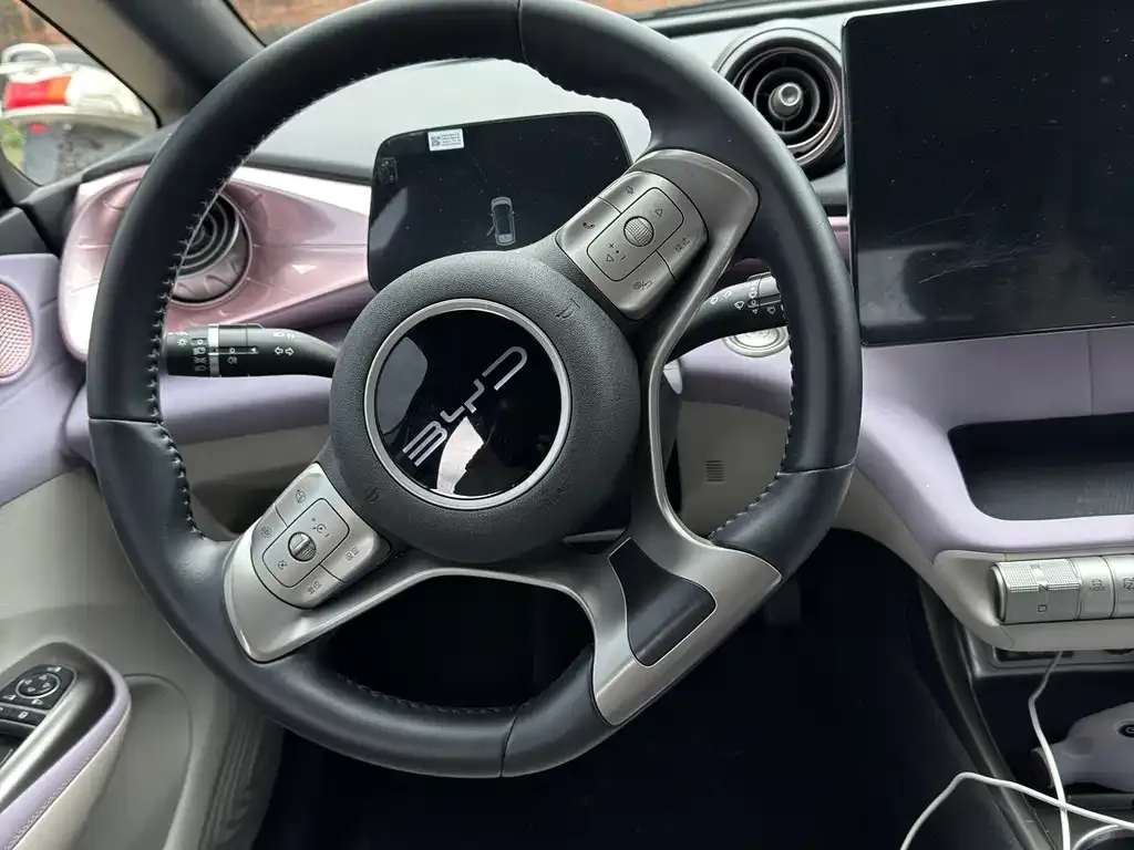 BYD Dolphin 2024 из CN, фото 6