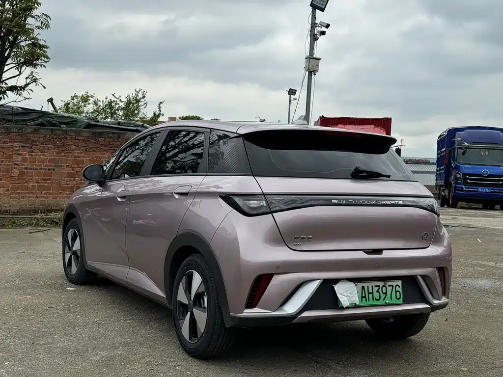 BYD Dolphin 2024 из CN, фото 8