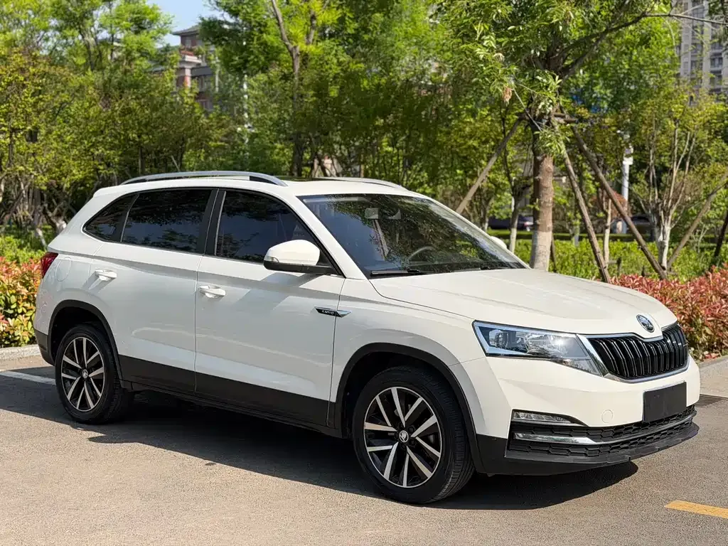 Skoda Kamiq 2021 из CN, фото 7