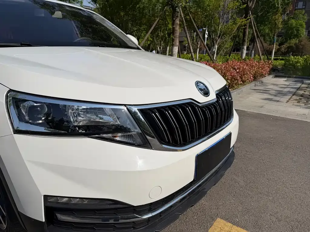 Skoda Kamiq 2021 из CN, фото 9