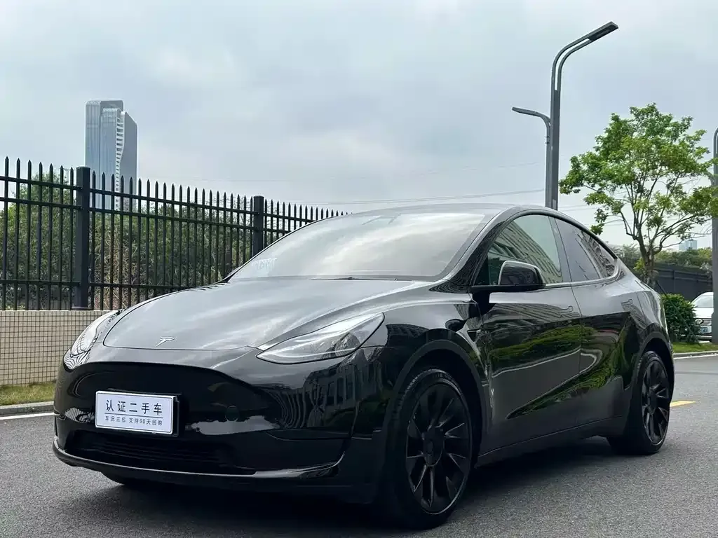 Tesla Model Y — фото 4