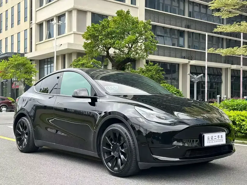 Tesla Model Y — фото 9