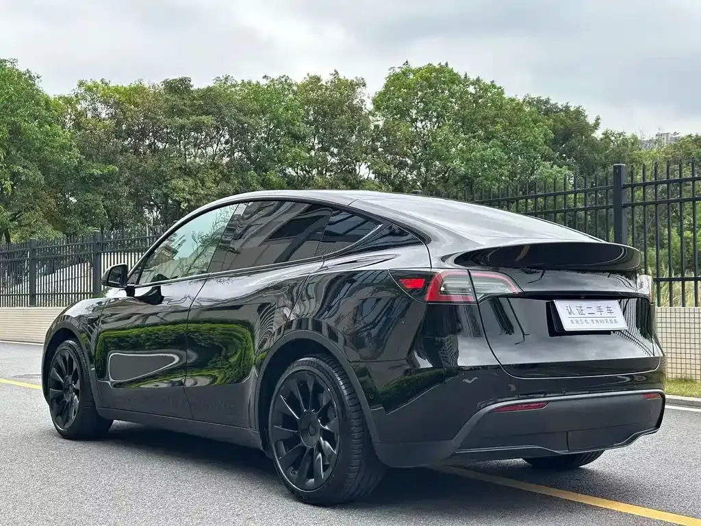 Tesla Model Y — фото 8