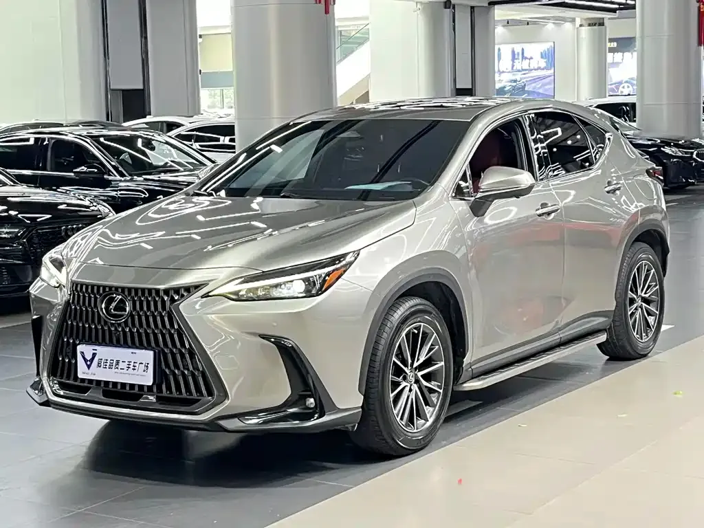 Lexus NX 2022 из CN, фото 1