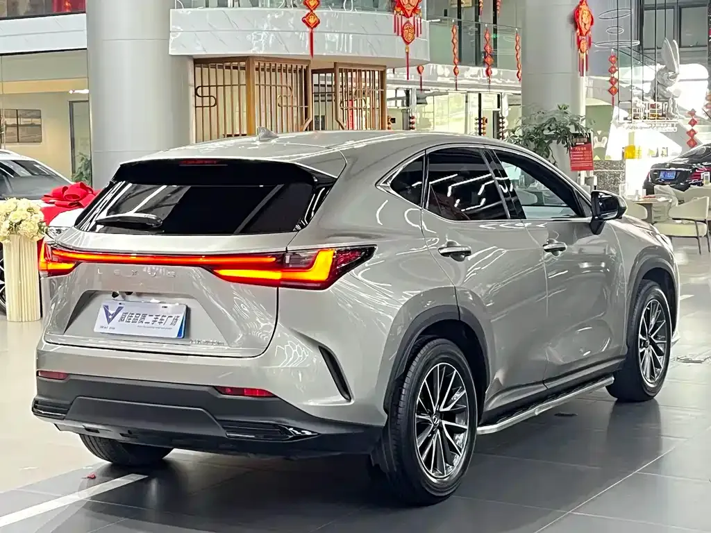Lexus NX 2022 из CN, фото 6