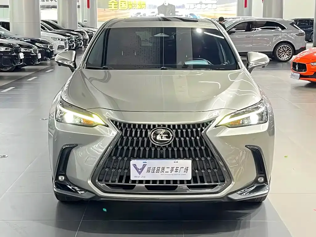 Lexus NX 2022 из CN, фото 10