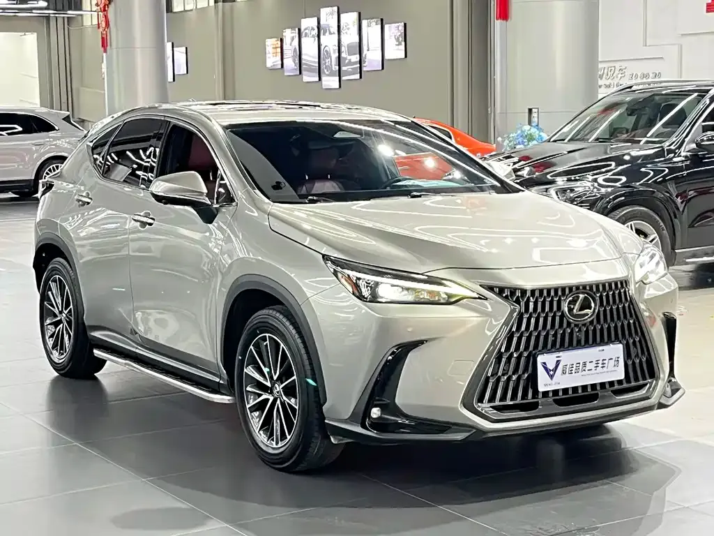 Lexus NX 2022 из CN, фото 5