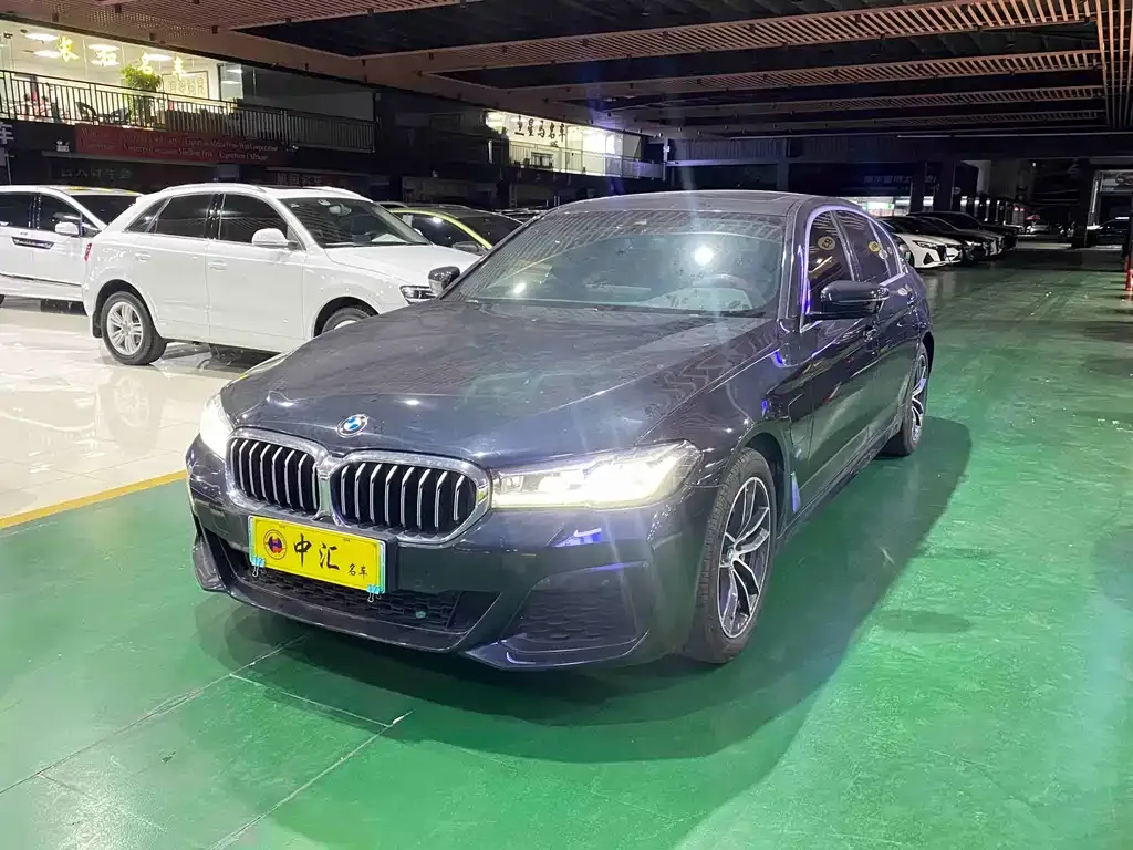 BMW 5 Series New Energy — фото 1