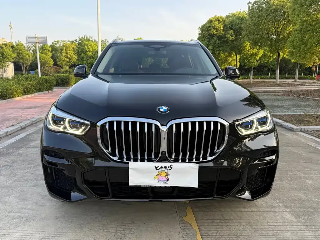 BMW X5 (Import) 2021 из CN, фото 6