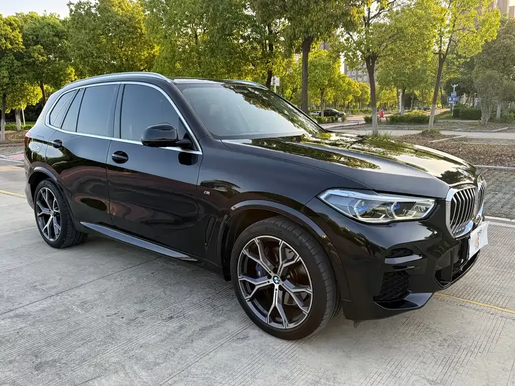 BMW X5 (Import) 2021 из CN, фото 10
